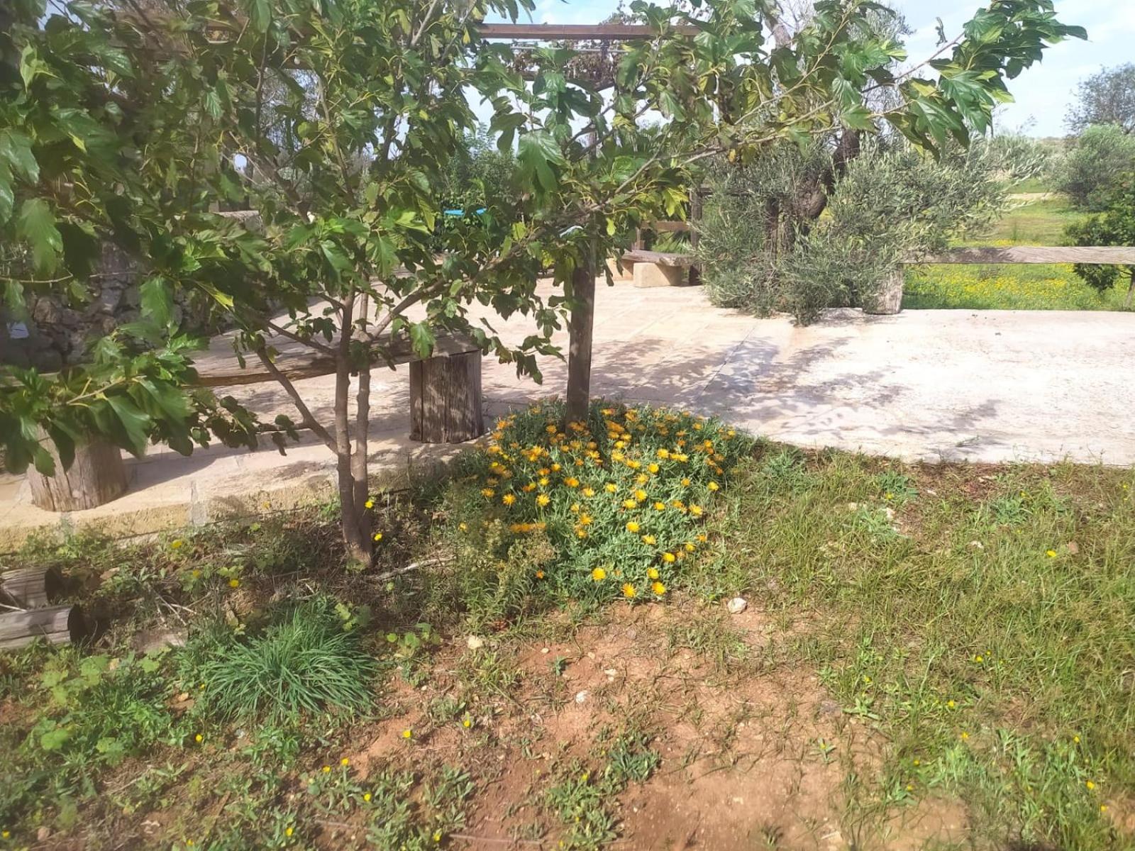 Pensjonat Trullo Contrada Stracca Alliste Zewnętrze zdjęcie